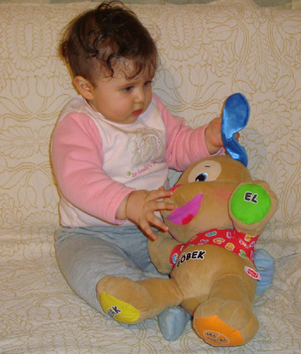 kopek